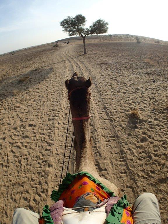 Passage Across India