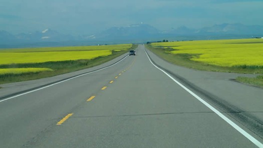 Field Tripping in Waterton-Glacier International Peace Park